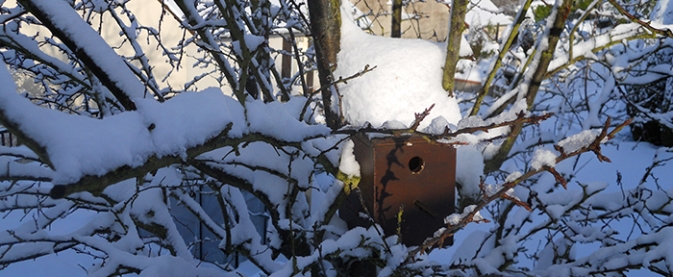 la-neige-au-jardin photo-1