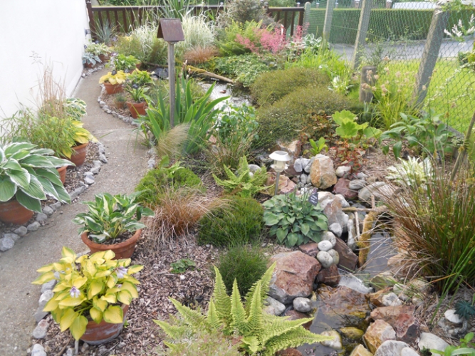 LES PLANTES VIVACES