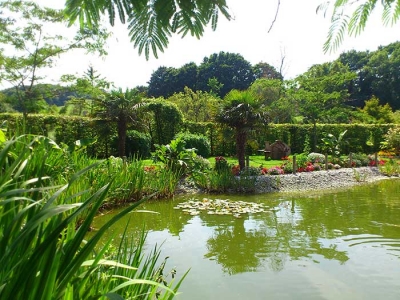 bassin de jardin grande taille