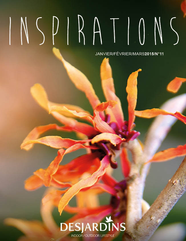 magazine 11 001-073_Desjardins Inspirations_n110