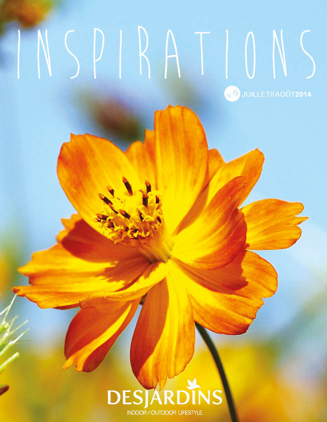 Inspirations Desjardins n°9