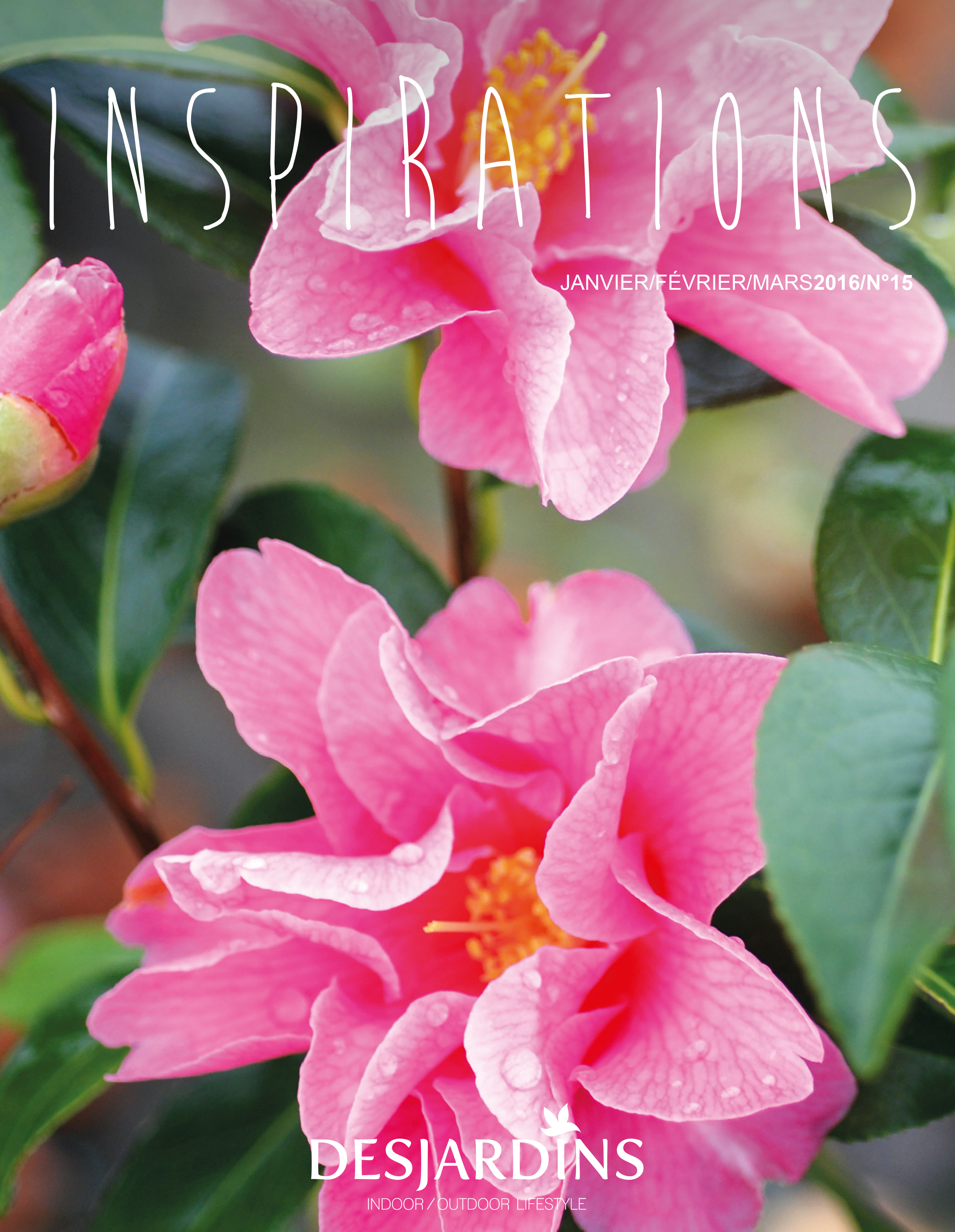 001_Desjardins-Inspirations_n15