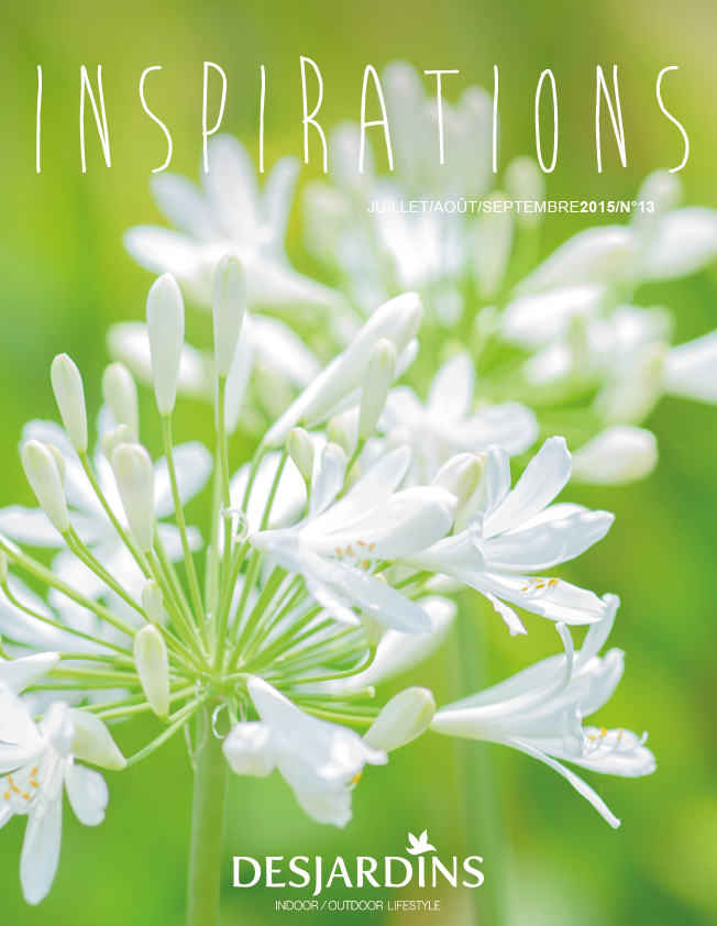 085-Desjardins-Inspirations_n13