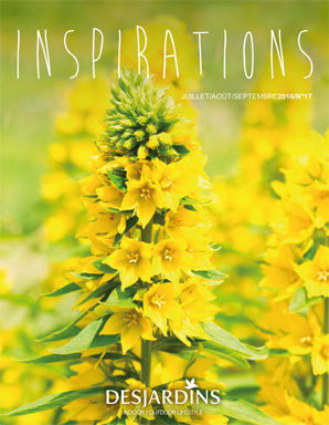 COUV_Inspirations_n17_Flipbook