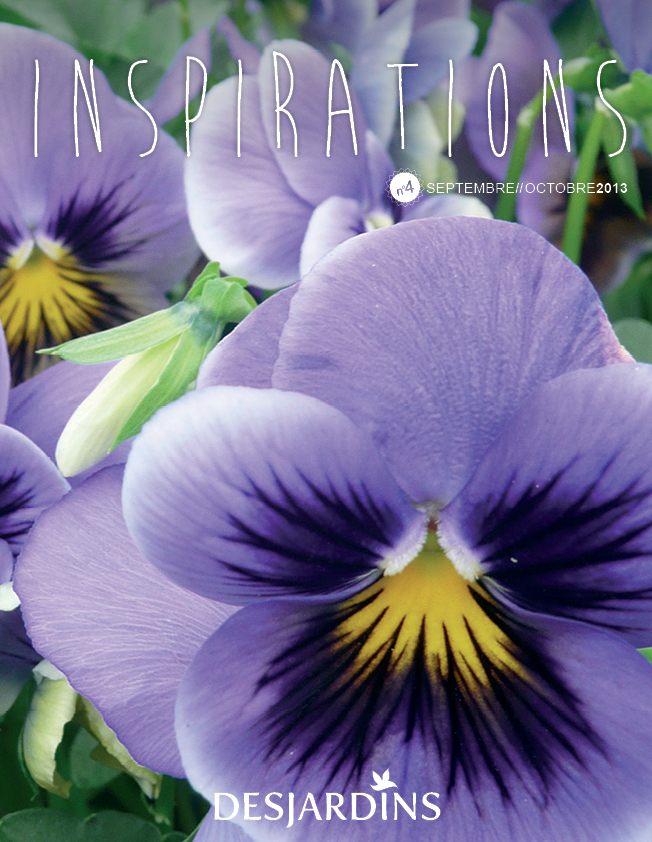 Inspiration Desjardins_n04