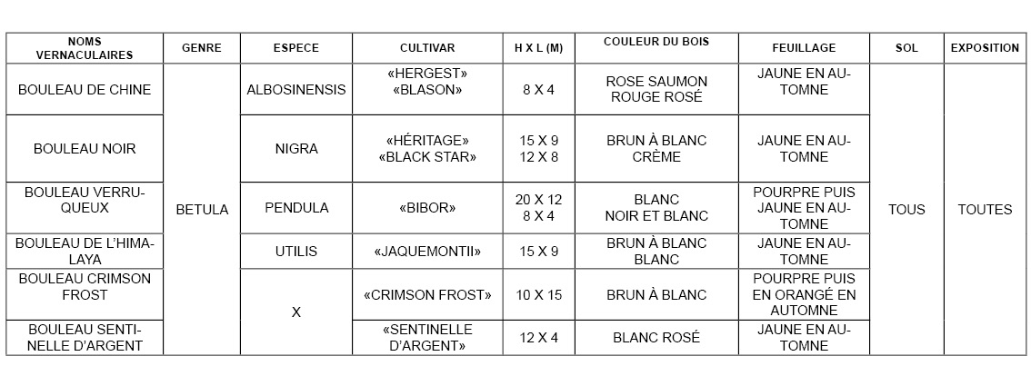 tableau-c