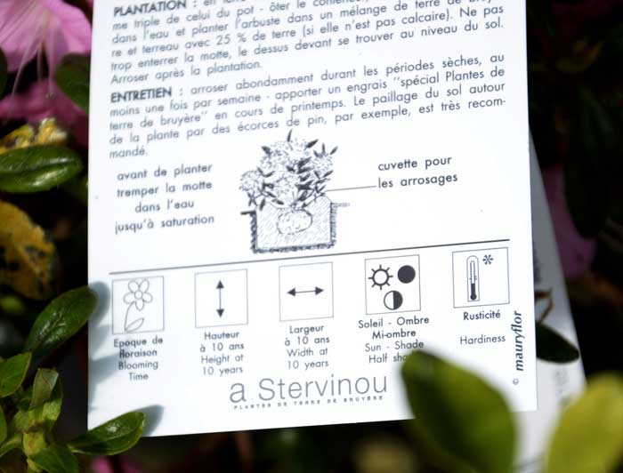 LIRE ET COMPRENDRE LES ETIQUETTES DES PLANTES D’EXTERIEUR (3)