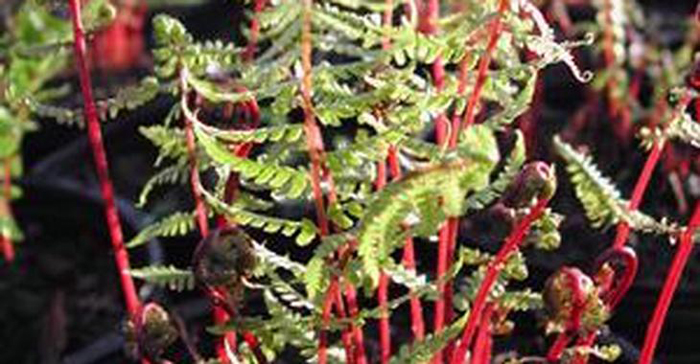 photo-4 photo-4