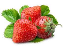 Variété de fraise Ostara (Fragaria ananassa ‘Ostara’)