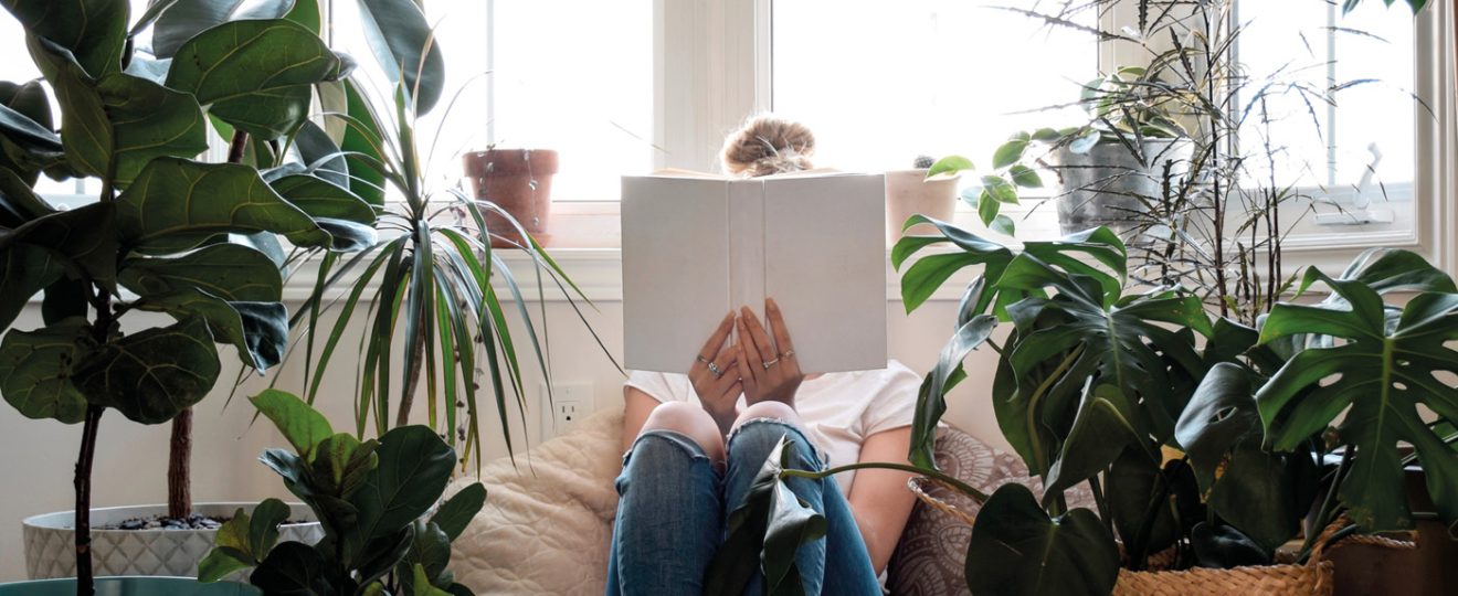 10 PLANTES D'INTRIEUR  GRANDES FEUILLES