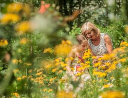 Dix plantes pour un jardin jaune