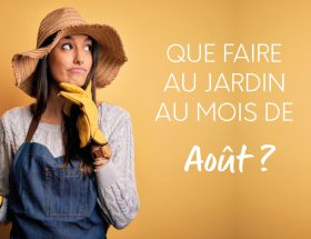 Que faire au jardin au mois de Août