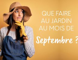 Que faire au jardin au mois de Septembre