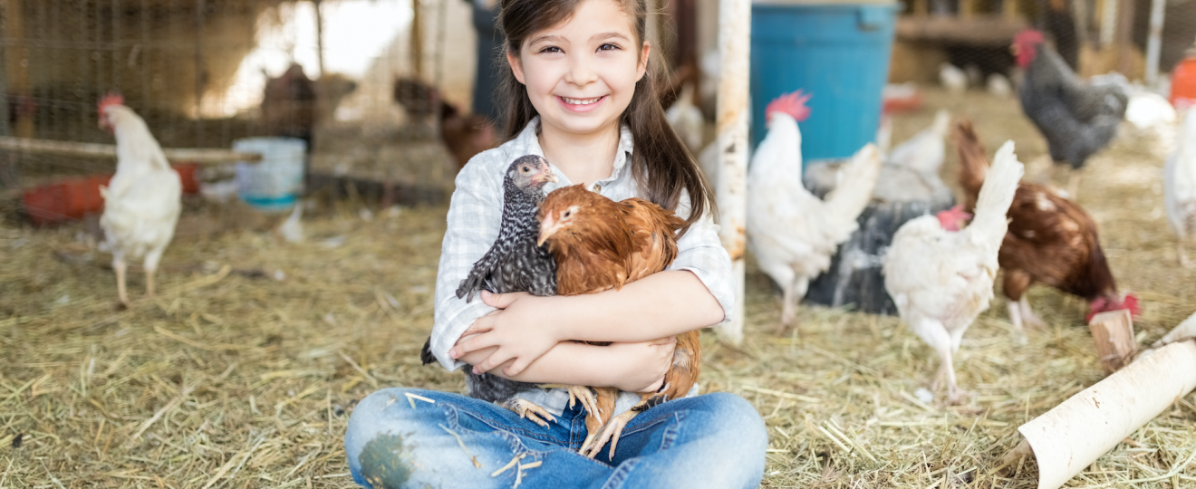 filles, poules, poulailler