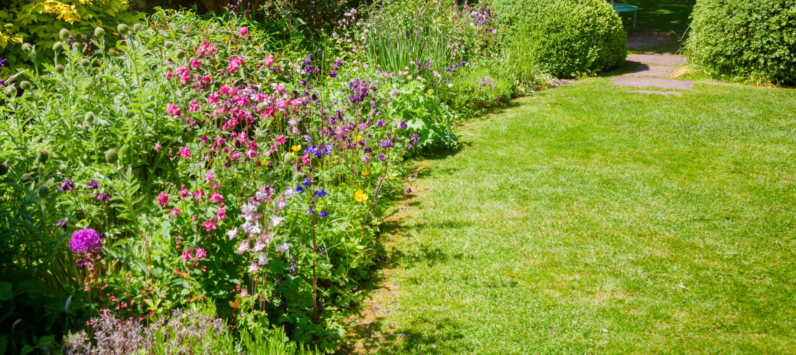 Des Plantes Repulsives Dans Votre Jardin