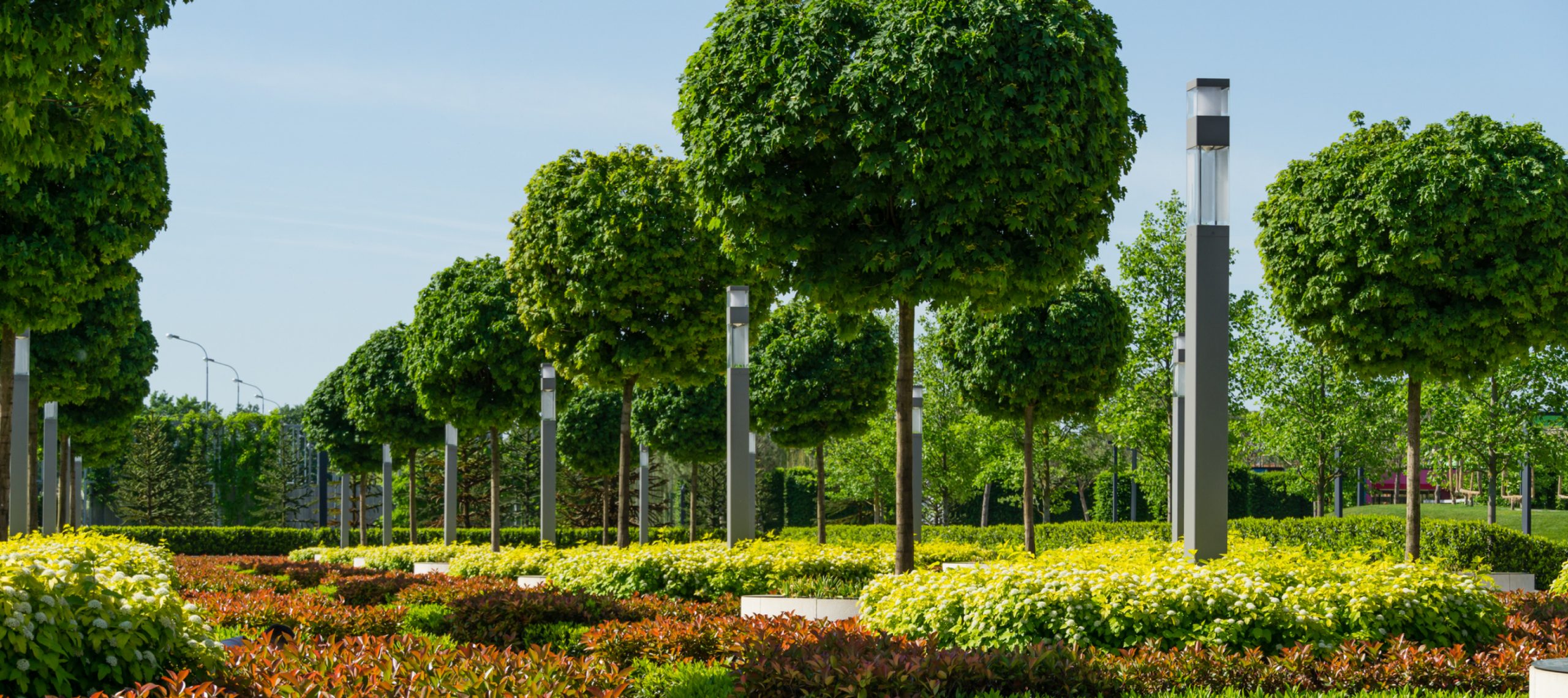 LES PLUS BEAUX ARBRES BOULES