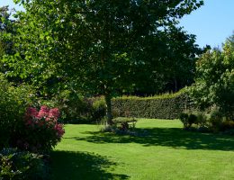 brise-vue jardin