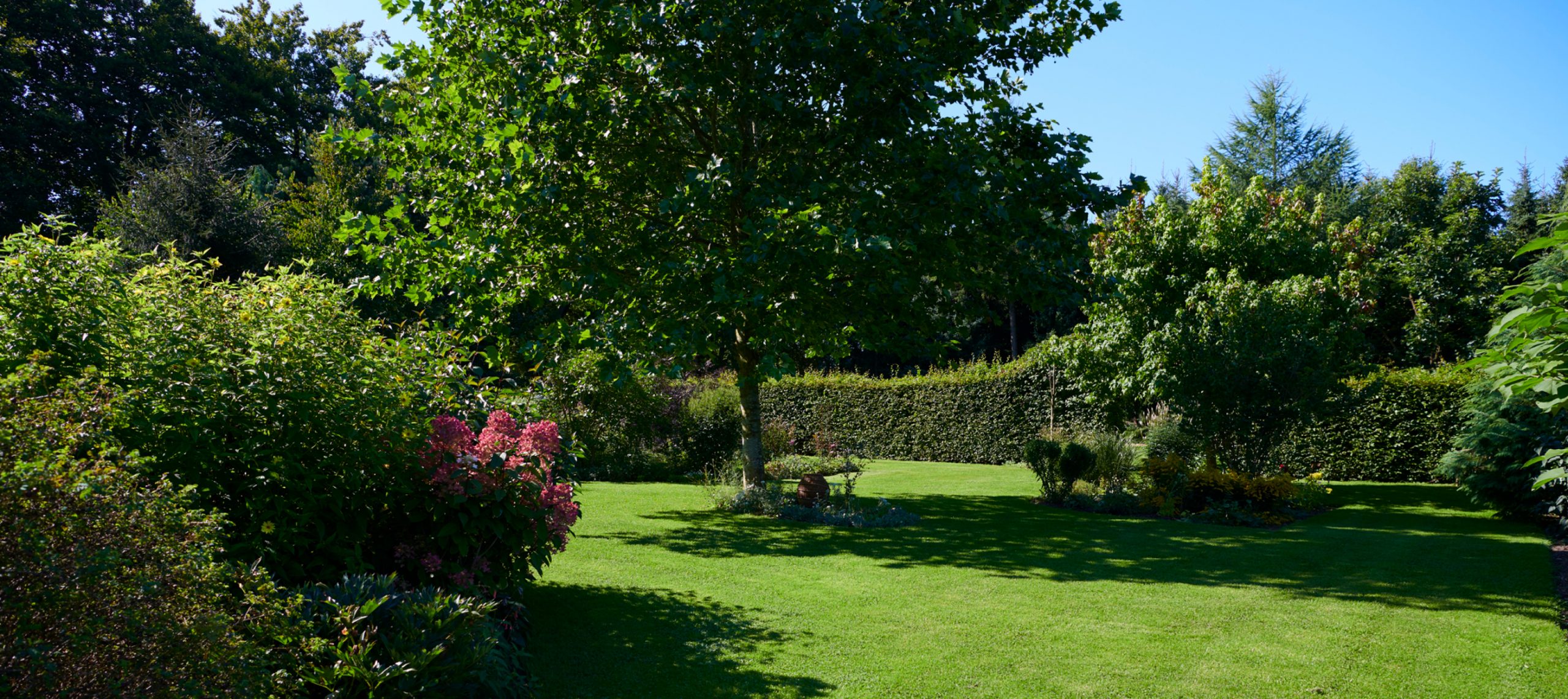 DIX ARBRES ET ARBUSTES POUR UN BRISE VUE