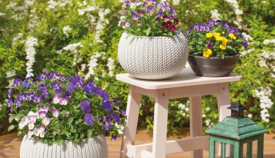 Bien choisir son pot de fleurs