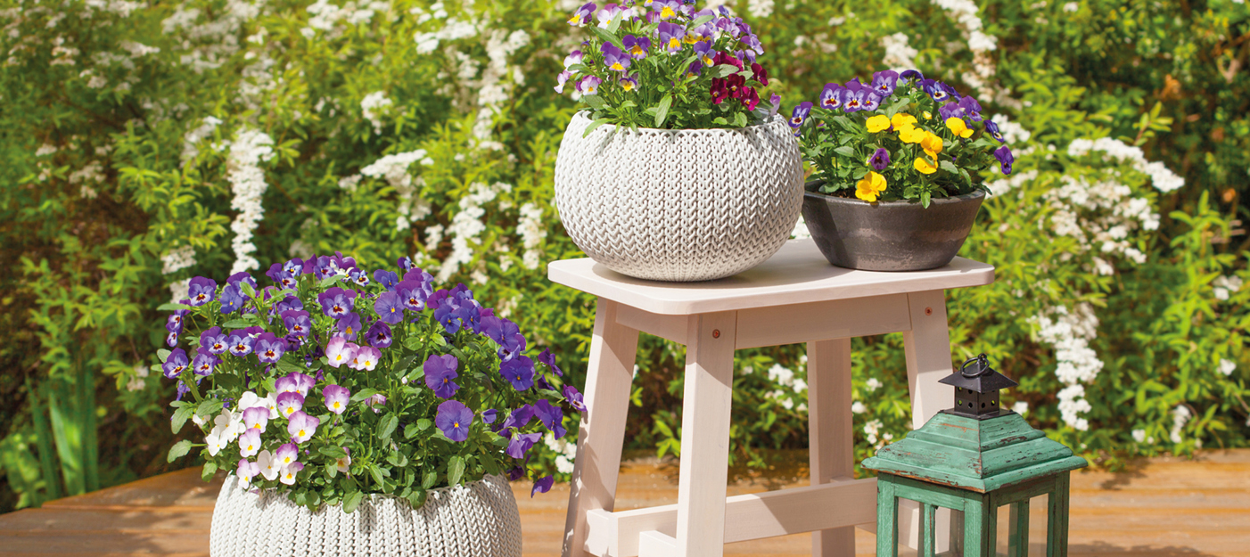 Bien choisir son pot de fleurs