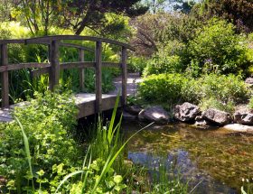 Apporter de l'ombre et de la fraîcheur au jardin