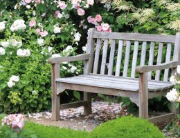 Dix plantes pour un jardin blanc