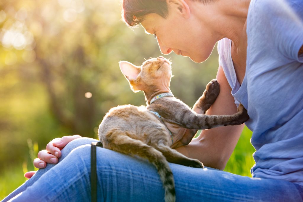 Devon Rex et son maître