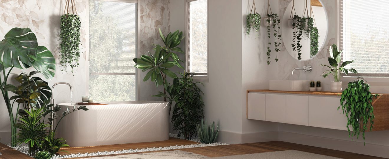 Les plantes de salle de bain