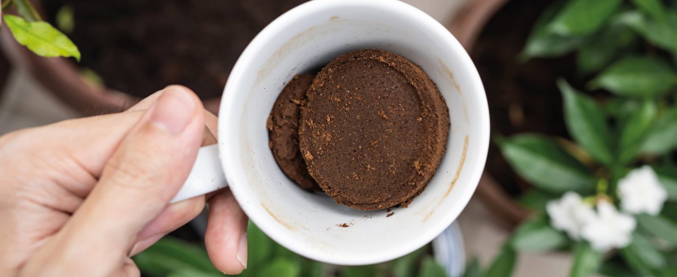 Le marc de café au jardin et à la maison