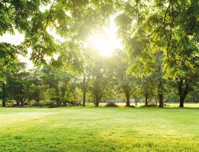 Le soleil au jardin en 10 questions