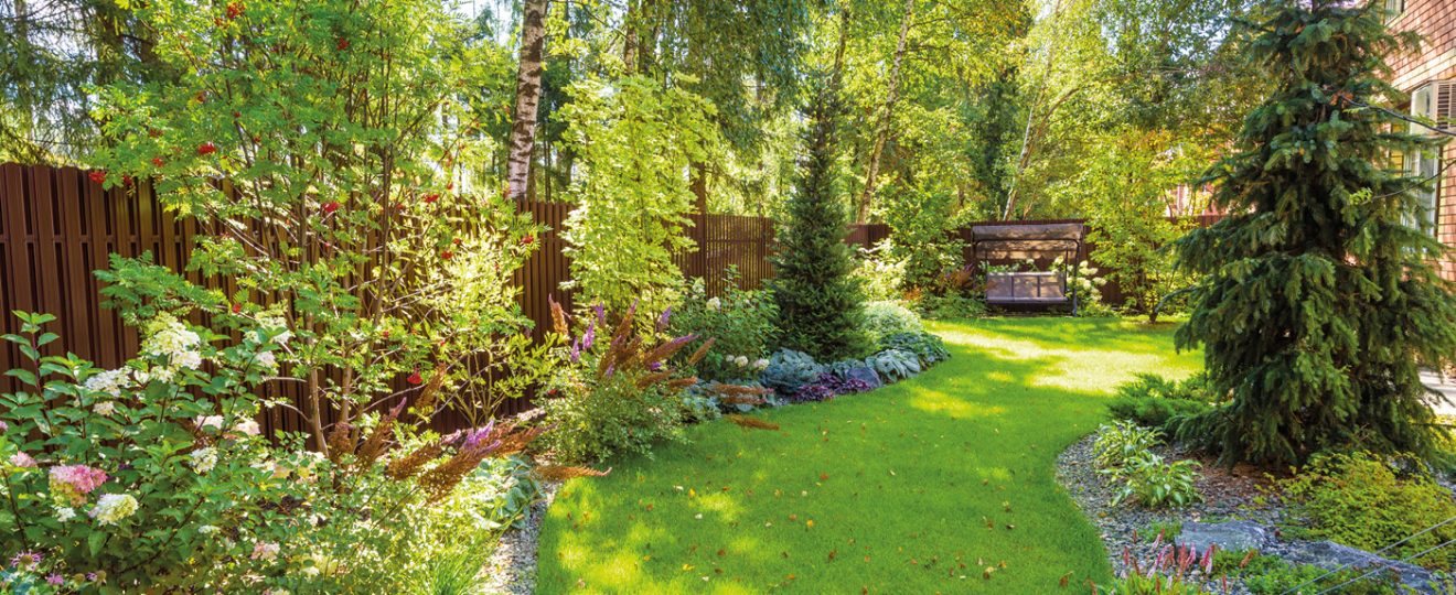 Planter sous des arbres