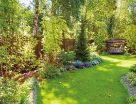 Planter sous des arbres