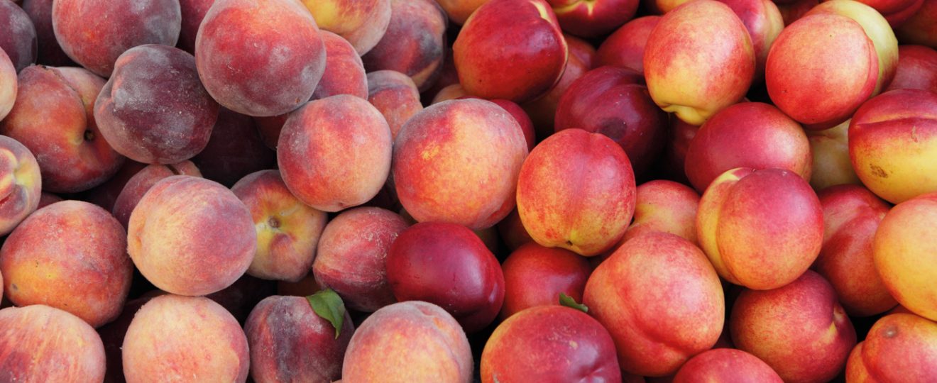 Pêches et Nectarines