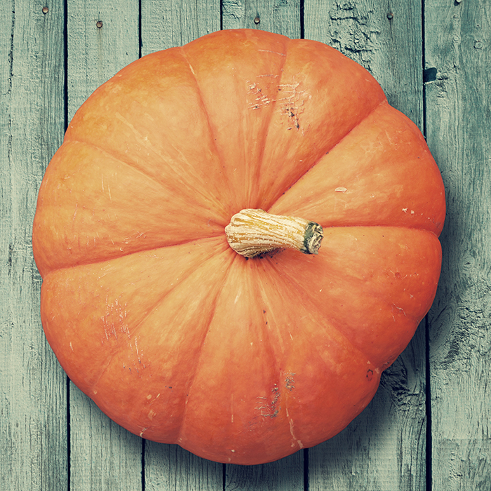 pumpkin on wooden rustic background, top view