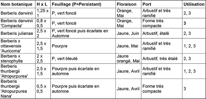 Quelques variétés de Berberis